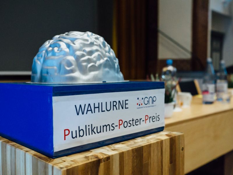 Wahlurne Publikums-Poster-Preis