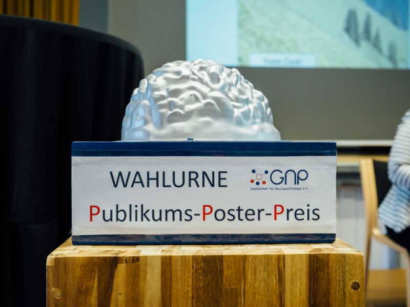 Wahlurne Publikums-Poster-Preis
