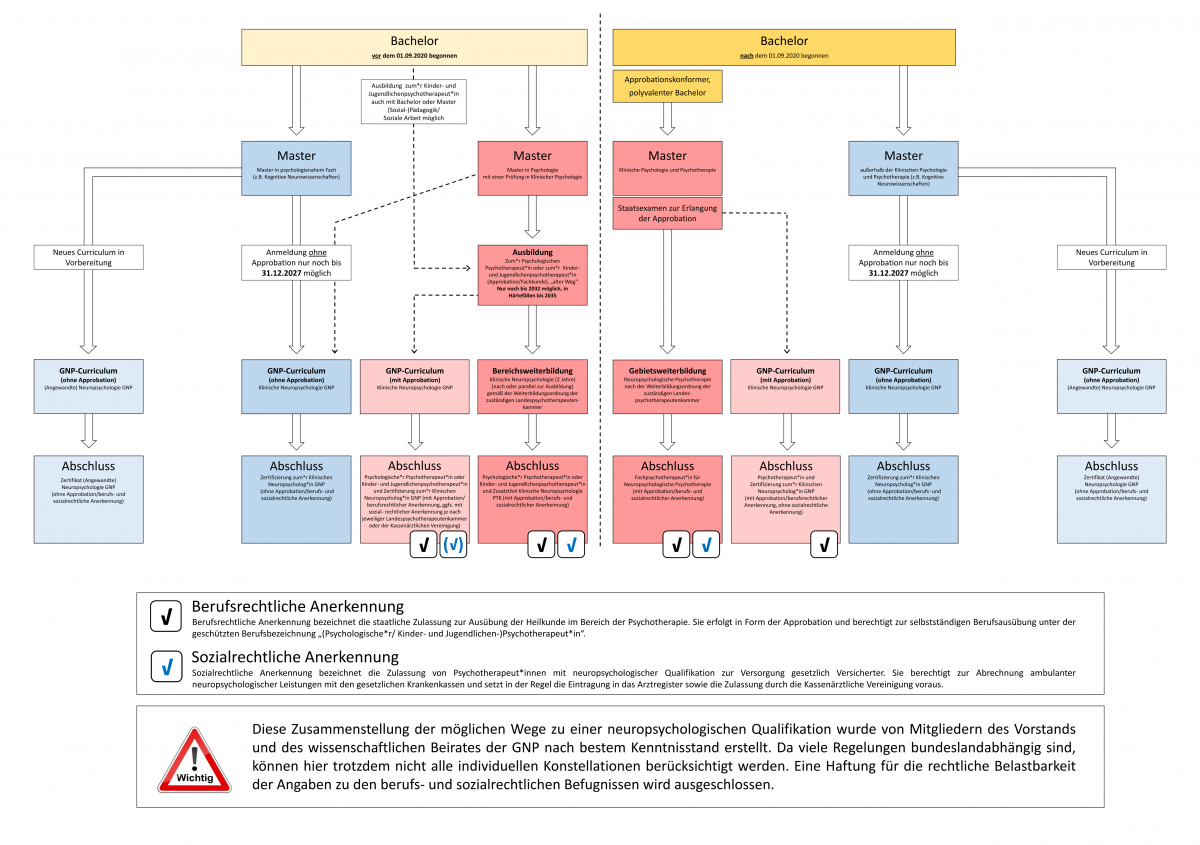 Wege in die Neuropsychologie